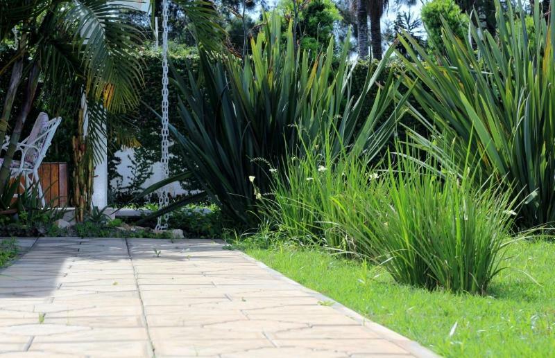 Casa De Campo Na Cidade Da Saúde Serra Negra  Exterior foto